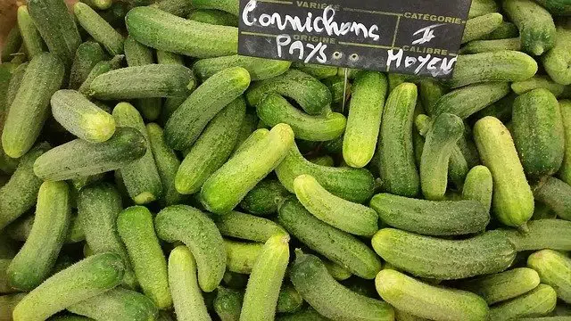 cornichons au vinaigre maison avec graines de moutarde jaune