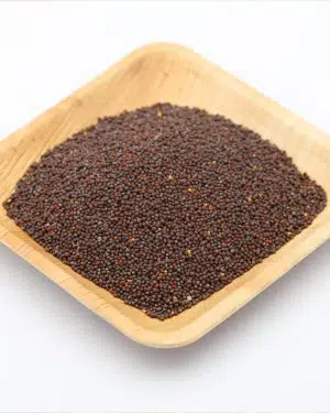 graines de moutarde brune