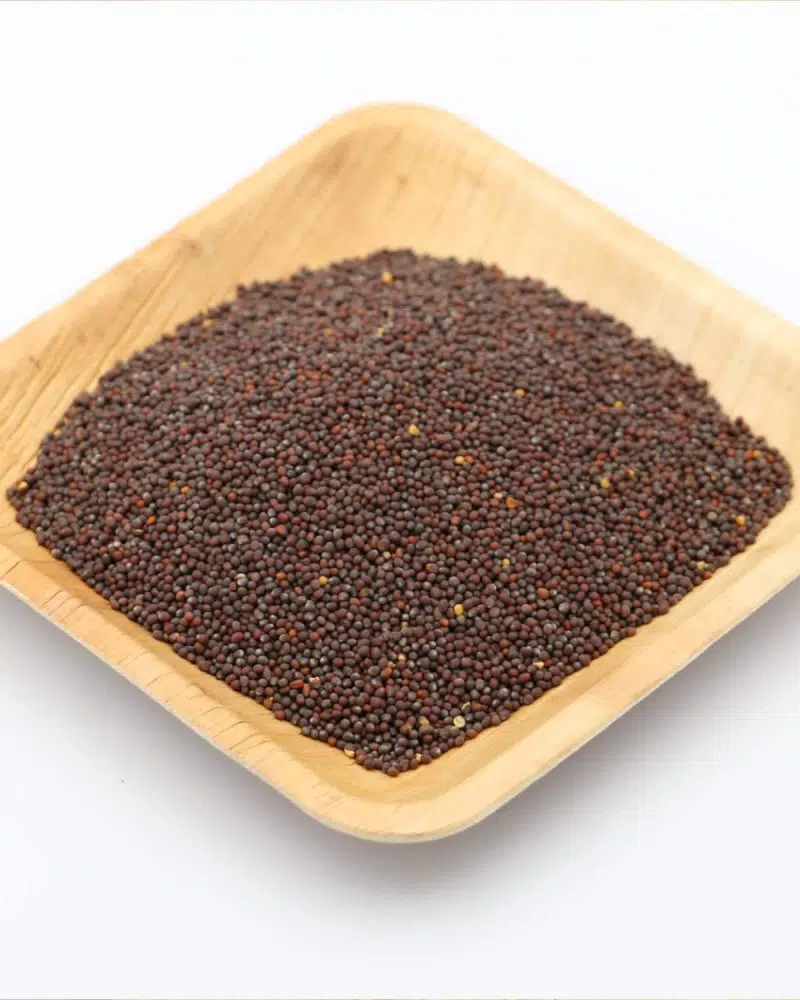graines de moutarde brune