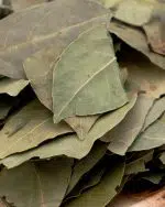 gros plan feuilles de laurier etal des epices