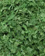 gros plan persil seche etal des epices