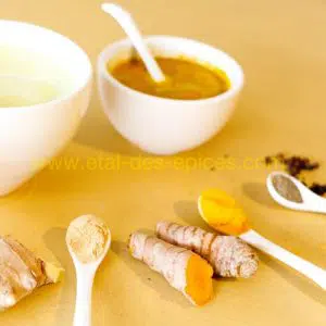 Mélange Lait d'Or gingembre