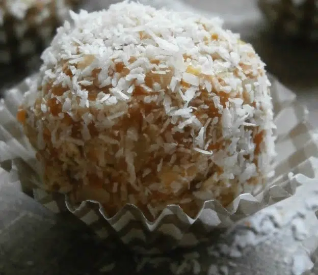 Bouchées saines et gourmandes à l'okara de carottes & clémentines épicé à la citronnelle