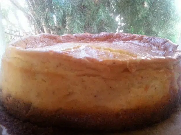 Cheesecake speculoos vanille