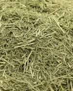 gros plan feuilles de citronnelle la plantation