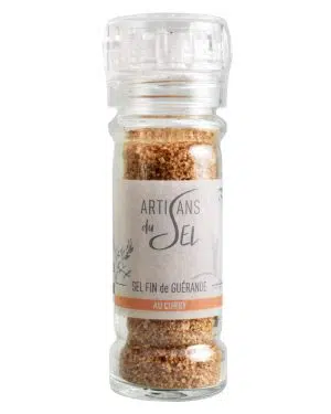 moulin sel fin guerande curry