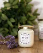 bougie lavande sauvage