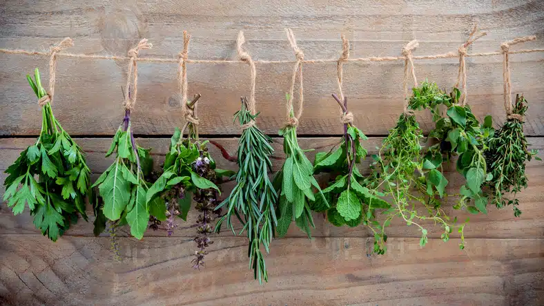 herbes de provence