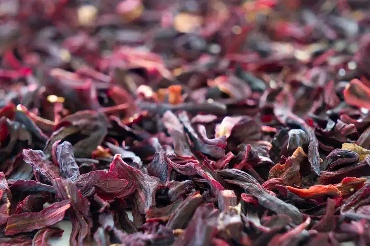 Quels sont les bienfaits de l'hibiscus sur la santé